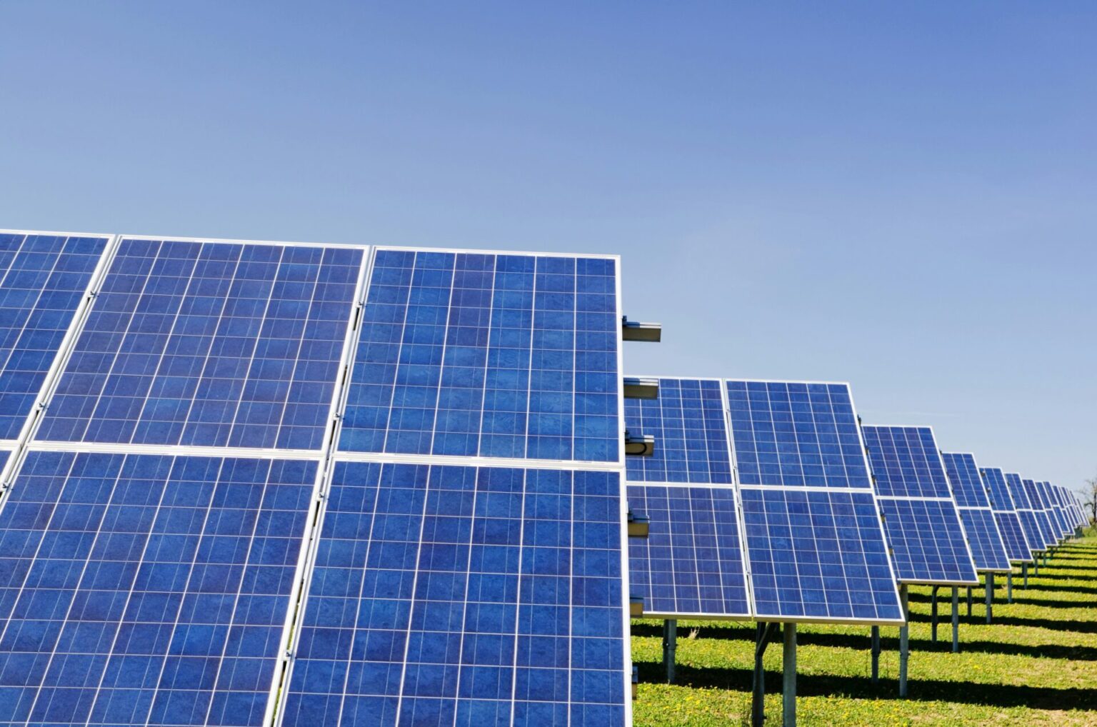 Reihen von Solarmodulen auf Feld unter blauem Himmel